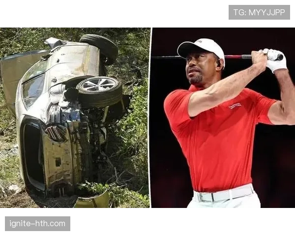 泰格·伍兹家的狗都比你我年薪高